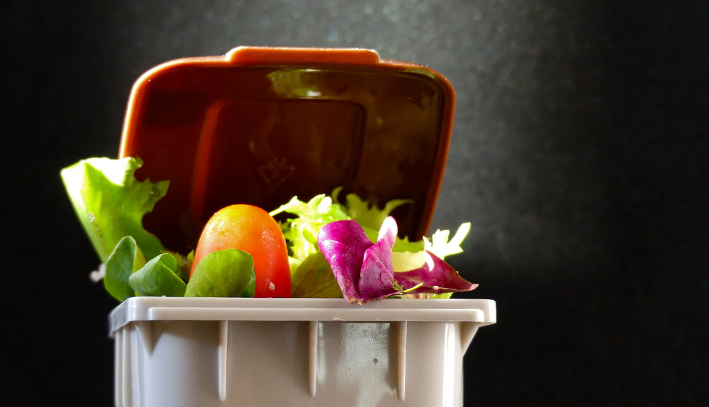 What is the Real Cost of Food Waste?